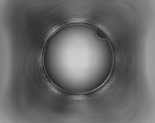 X0000113061129200909041032