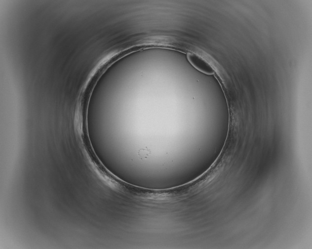 X0000113061131200909041032