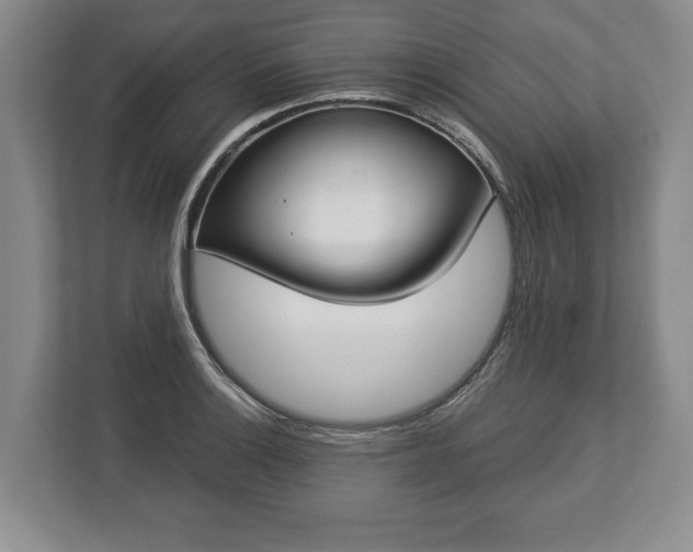 X0000113061132200909041032