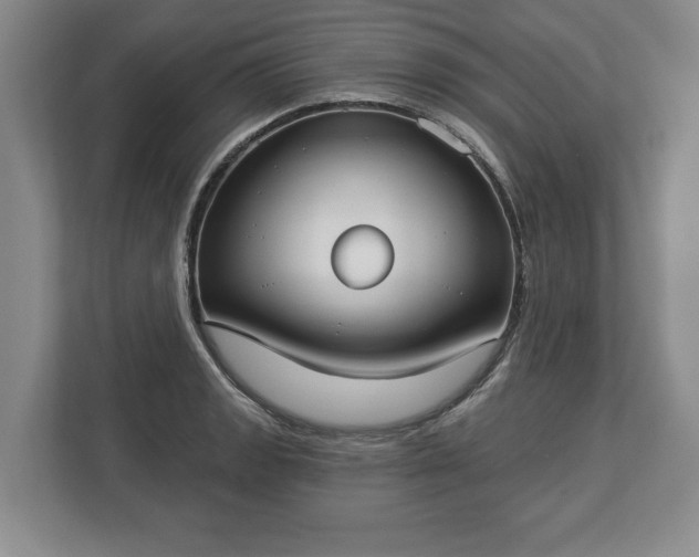 X0000113061133200909041032