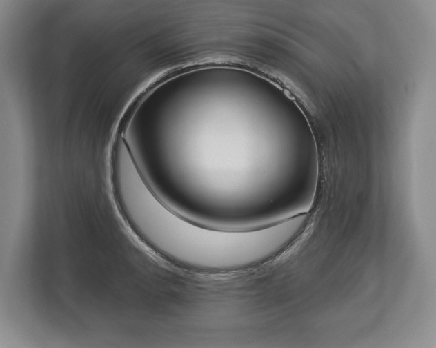 X0000113061134200909041032
