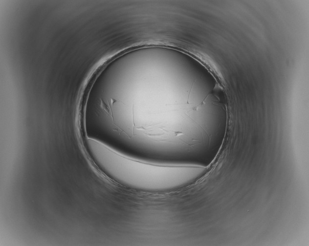 X0000113061136200909041032