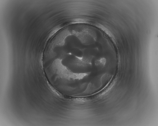 X0000113061137200909041032