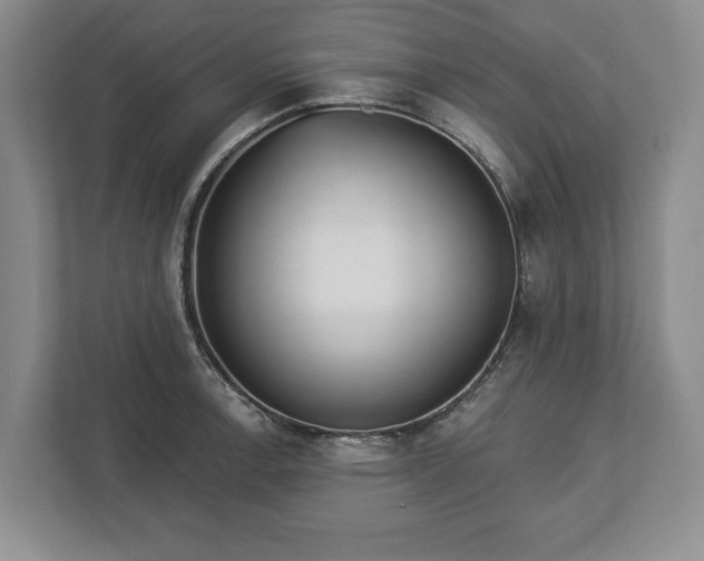 X0000113061138200909041032