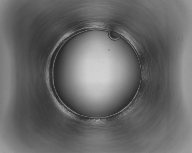 X0000113061139200909041032