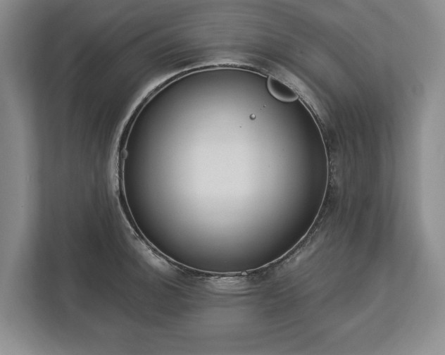 X0000113061140200909041032