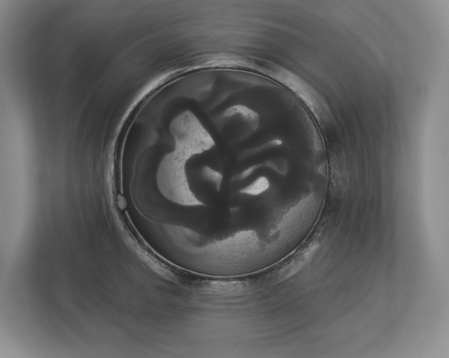 X0000113061142200909041033
