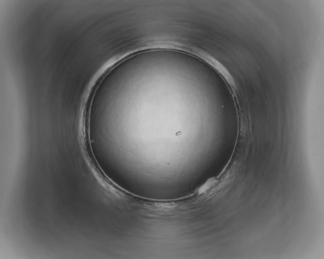 X0000113061144200909041033