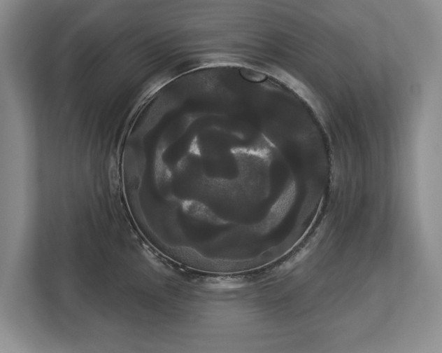 X0000113061145200909041033