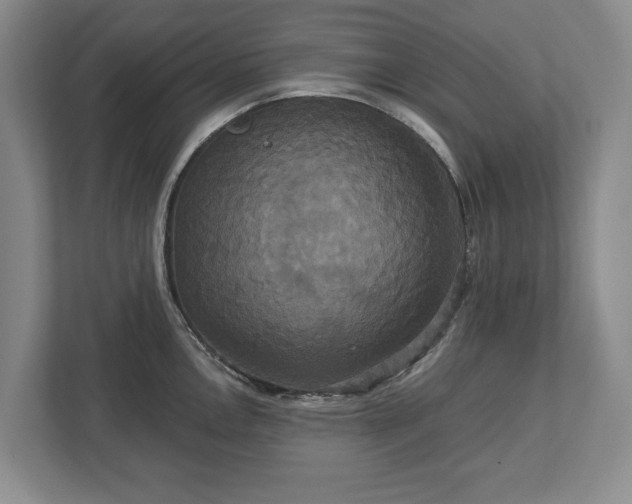 X0000113061146200909041033