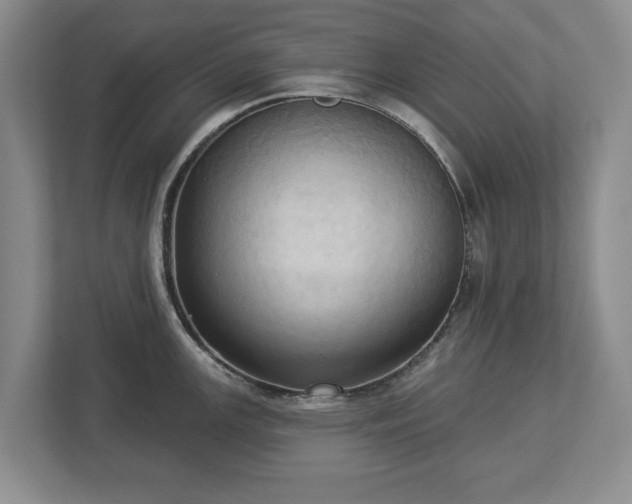 X0000113061147200909041033