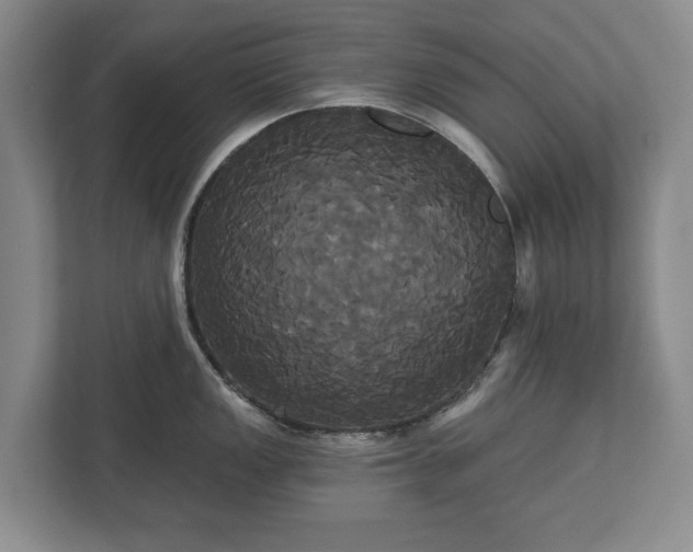 X0000113061149200909041033