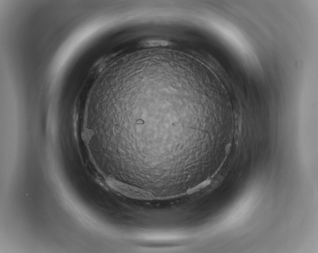X0000113061151200909041033