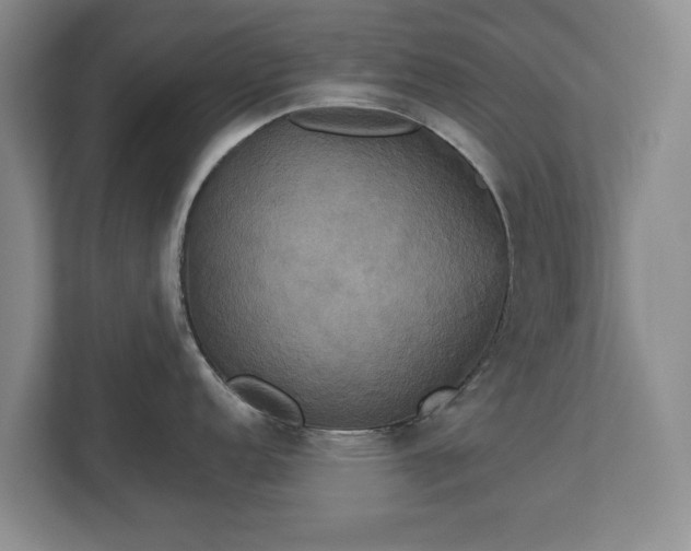 X0000113061152200909041033