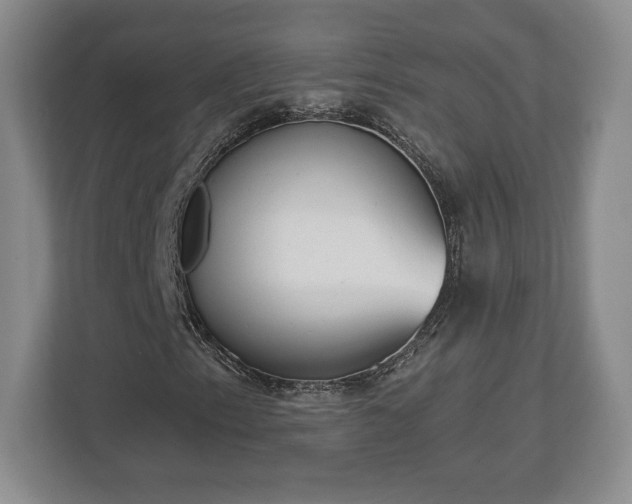 X0000113061153200909041032