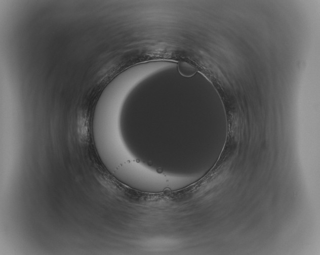 X0000113061154200909041032