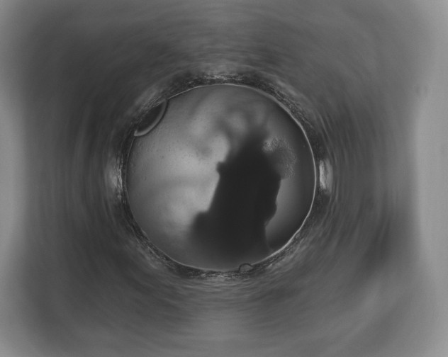 X0000113061155200909041032