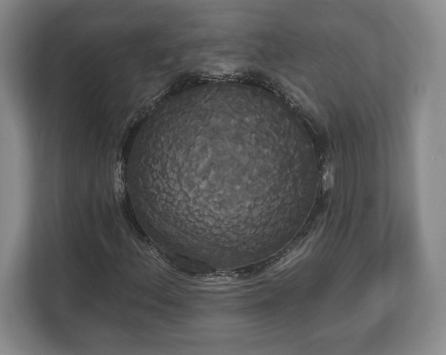X0000113061156200909041032