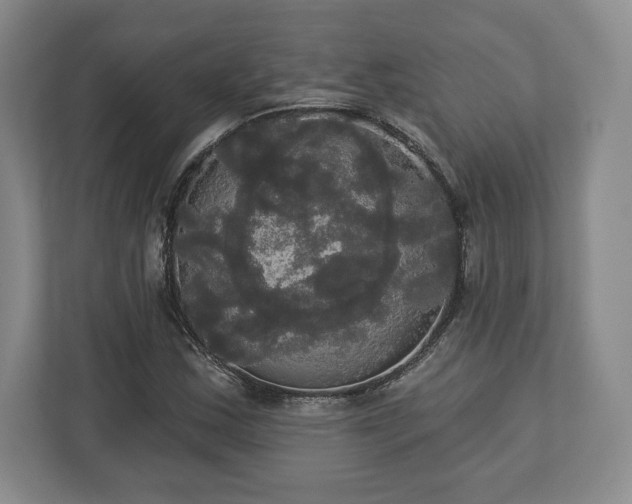X0000113061163200909041032
