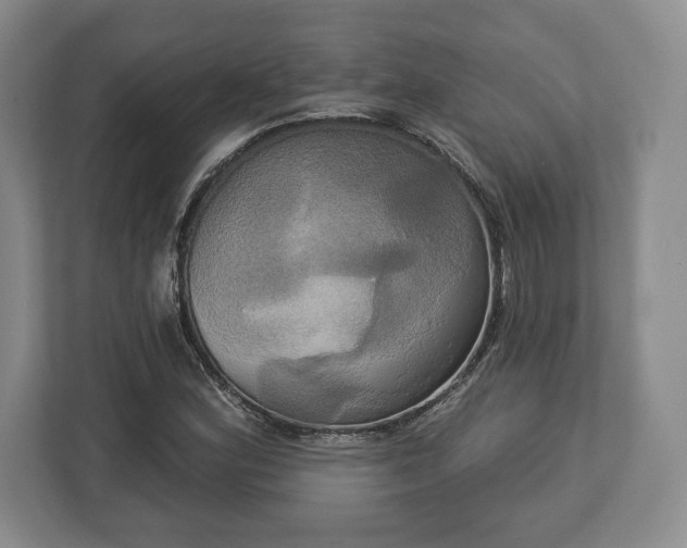 X0000113061164200909041032