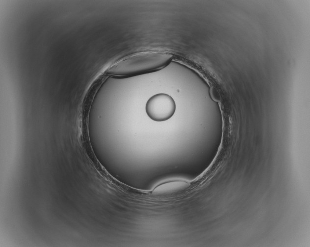 X0000113061165200909041032