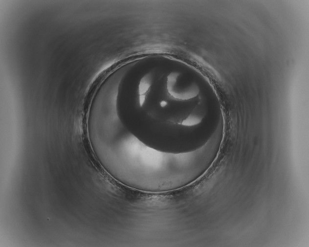 X0000113061166200909041032
