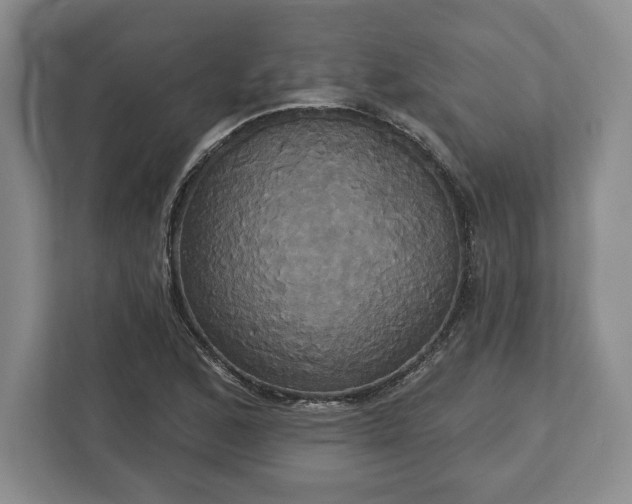 X0000113061168200909041032