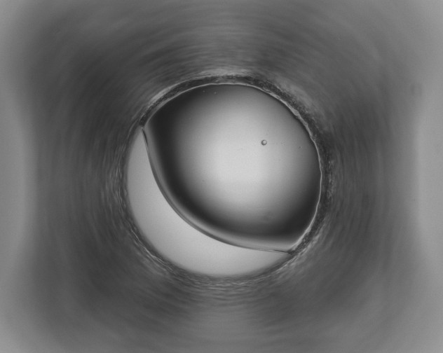 X0000113061169200909041032