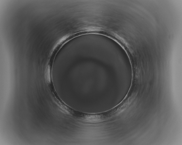 X0000113061171200909041032