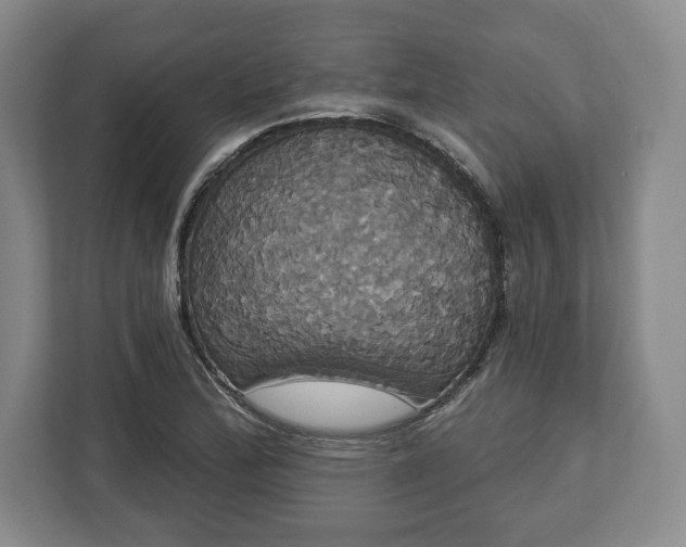 X0000113061172200909041032
