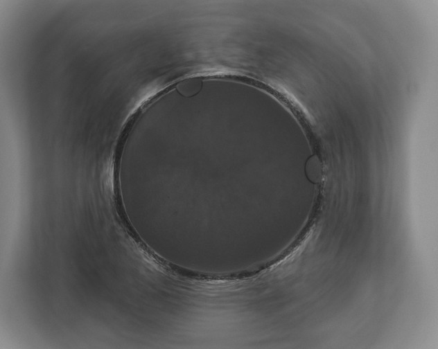 X0000113061173200909041032