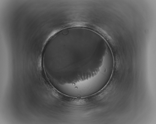 X0000113061174200909041032