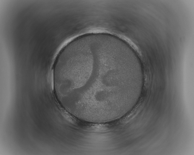 X0000113061175200909041032