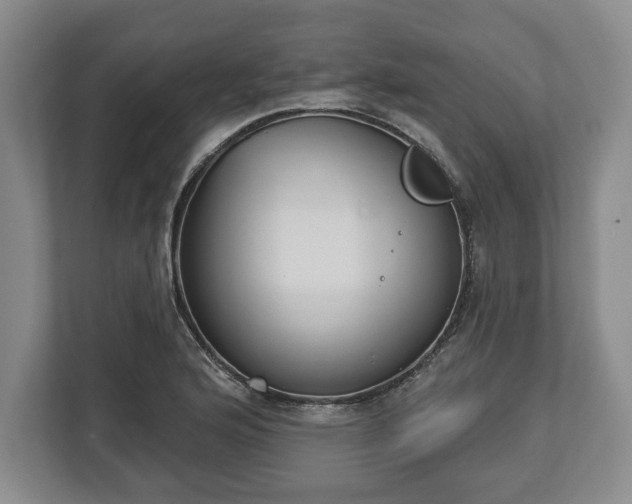 X0000113061176200909041032