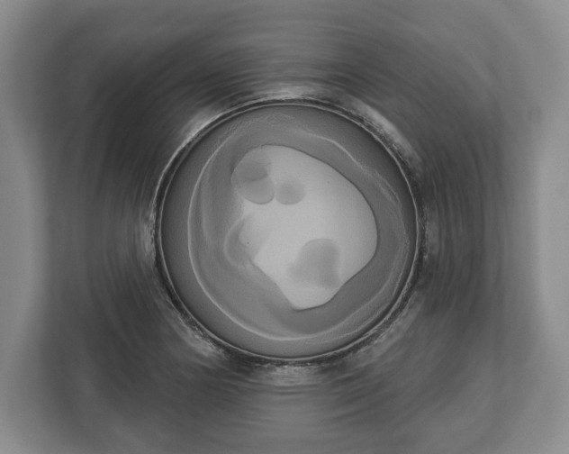 X0000113061178200909041032