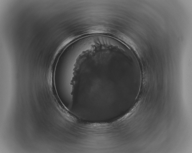 X0000113061179200909041032