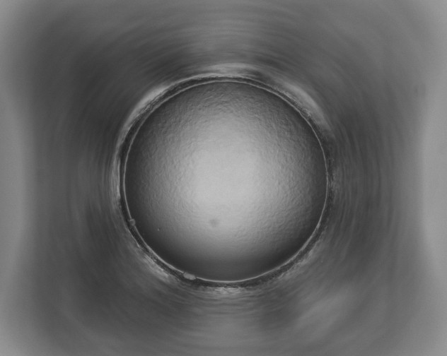 X0000113061180200909041032