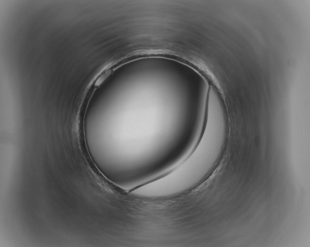 X0000113061181200909041032