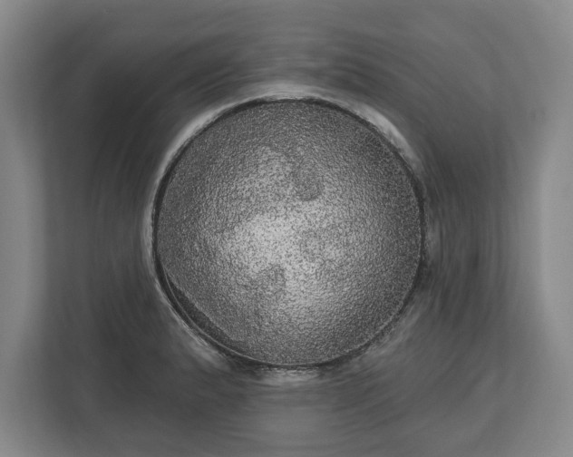 X0000113061183200909041032