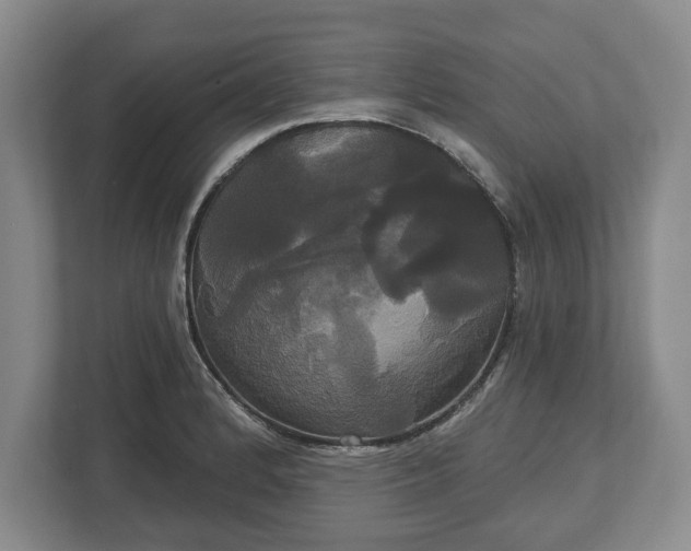 X0000113061184200909041032