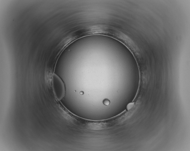 X0000113061185200909041032