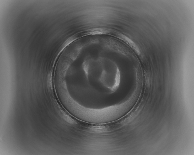 X0000113061186200909041032