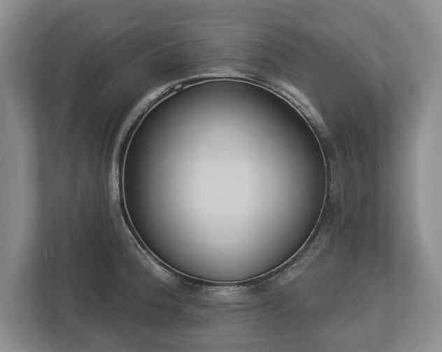 X0000113061188200909041032