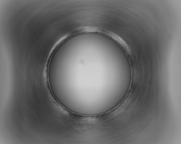 X0000113061190200909041032