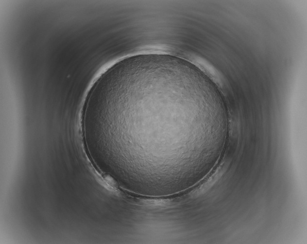 X0000113061192200909041032