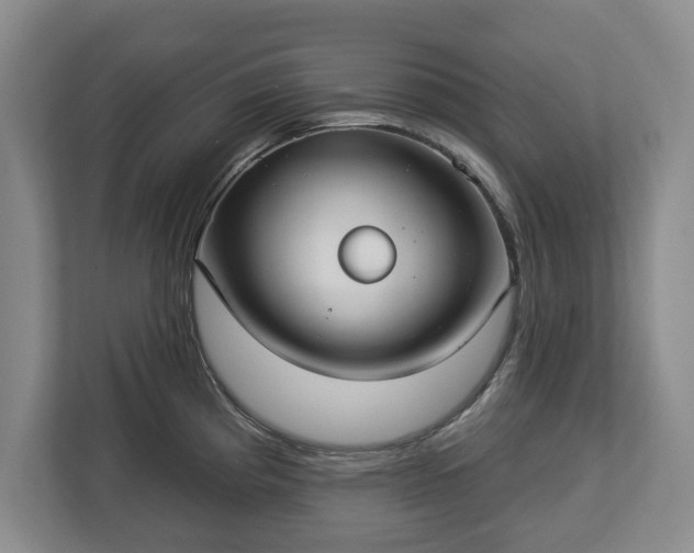X0000113061193200909041032