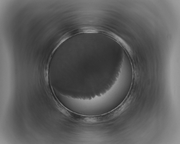 X0000113061194200909041031