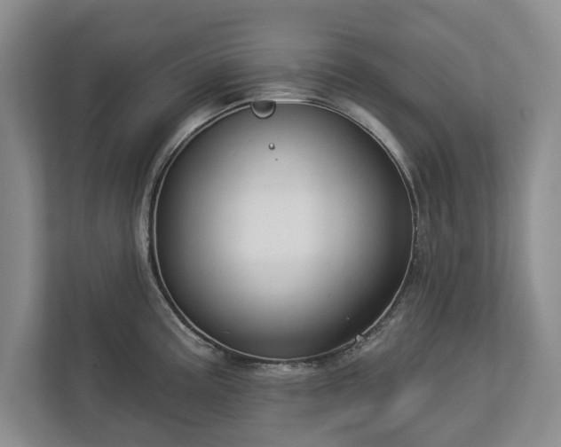 X0000113061195200909041031