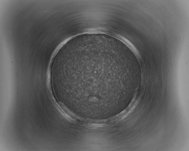 X0000113061196200909041031