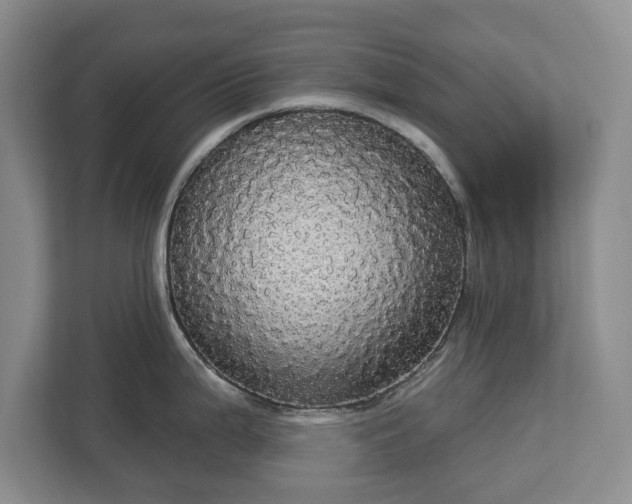 X0000113061199200909041031